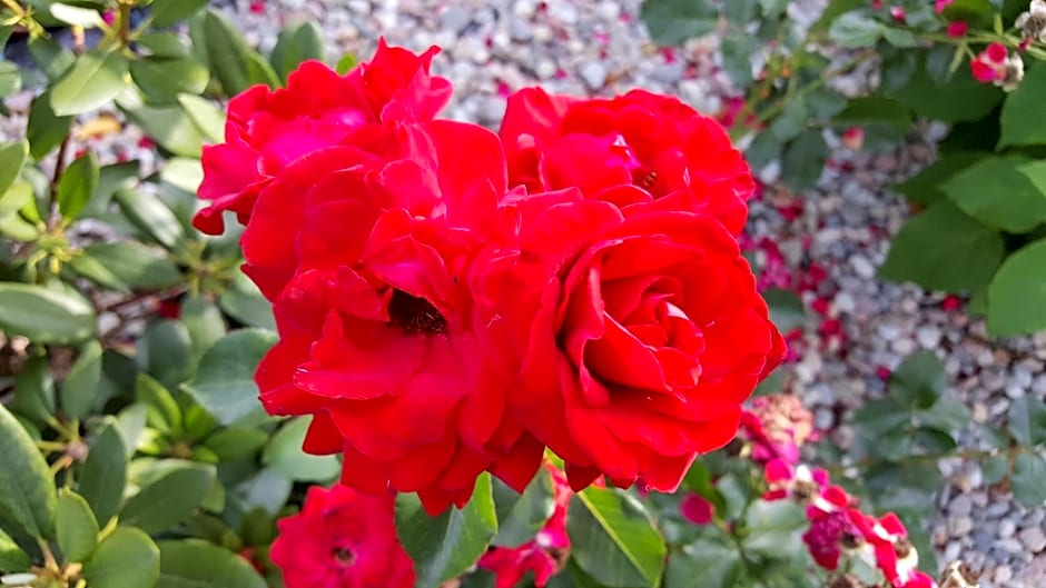 Domek nad jeziorem Bystrzyna