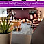 YOTELAIR Paris CDG - Transit Hotel - Terminal 2E