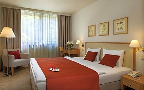 Budget Double Room