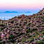 The Ritz-Carlton Dove Mountain