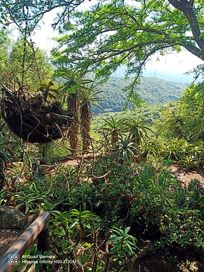 Leopards and Louries Bush Lodge
