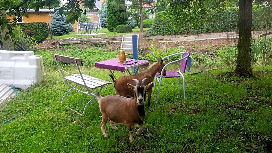 Zimmervermietung Zahn