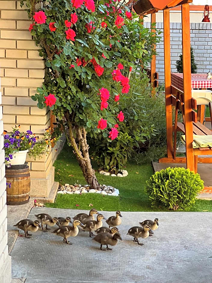 Fodor Hotel