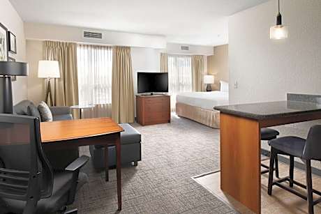 Studio, 1 King Bed with Sofa bed (1 King Bed and 1 Double Sofa Bed)