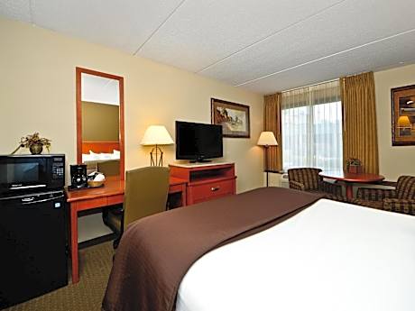 King Room - Non-Smoking
