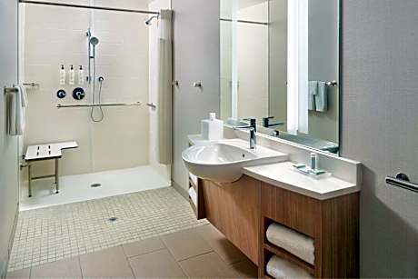 King Studio Suite with Sofa Bed - Mobility Accessible with Roll-In Shower