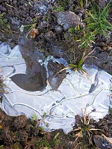 Pousada Chales Aconchego Serrano