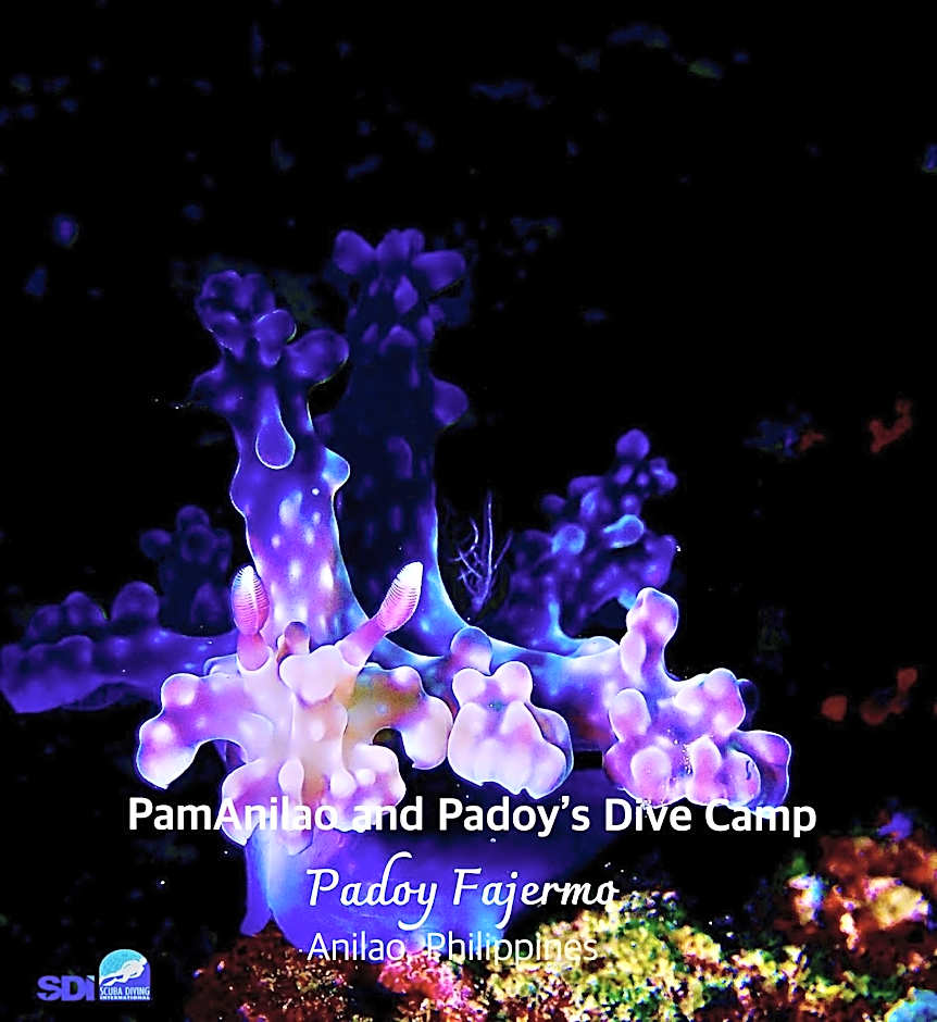 PamAnilao and Padoy's Dive Camp