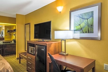 1 King Bed, Nonsmoking, Accessible