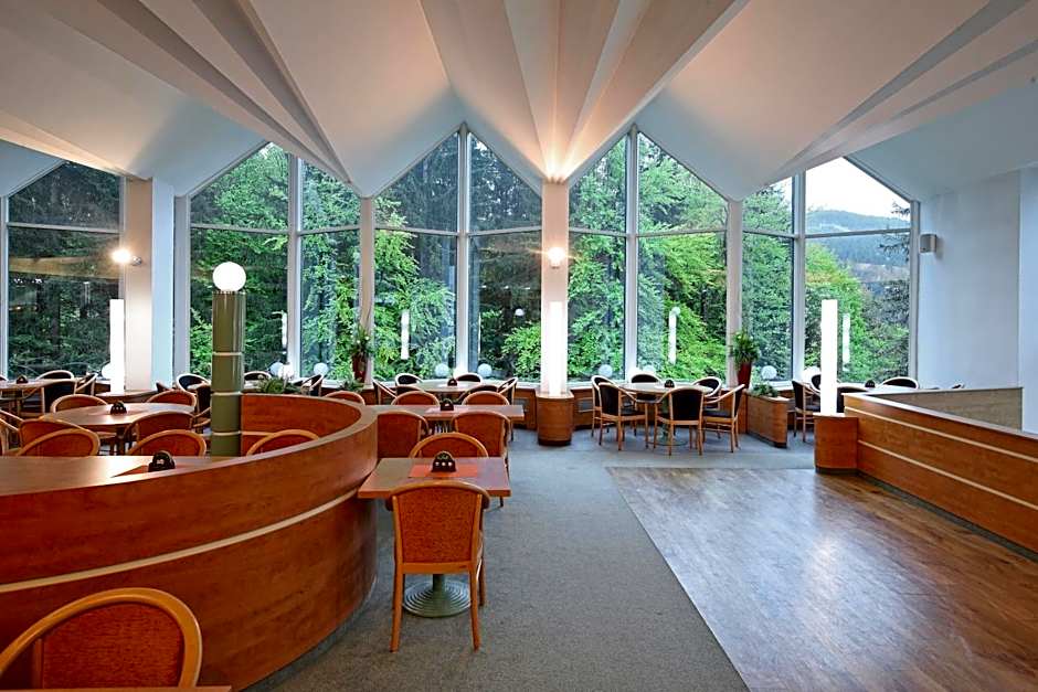 Interhotel Montana