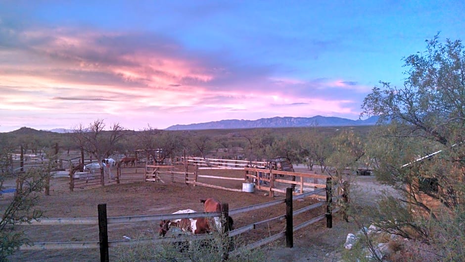 Tombstone Monument Guest Ranch