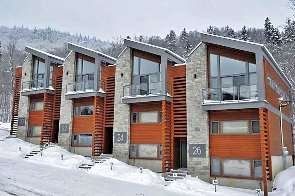 20- Chalet à louer à Stoneham (CITQ287685)