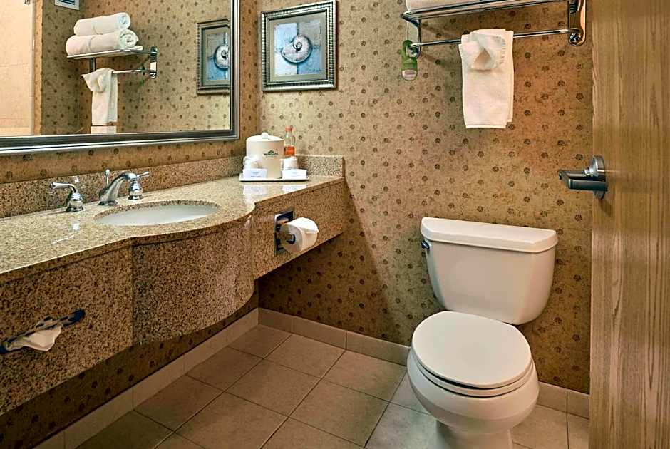 Wingate by Wyndham Chihuahua