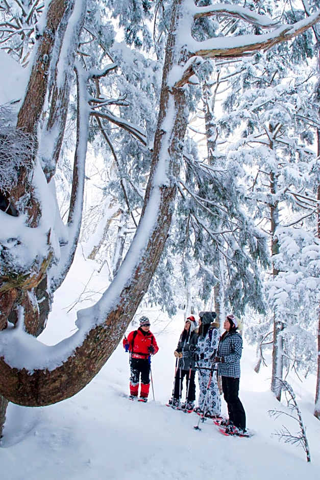 Aspen Shiga