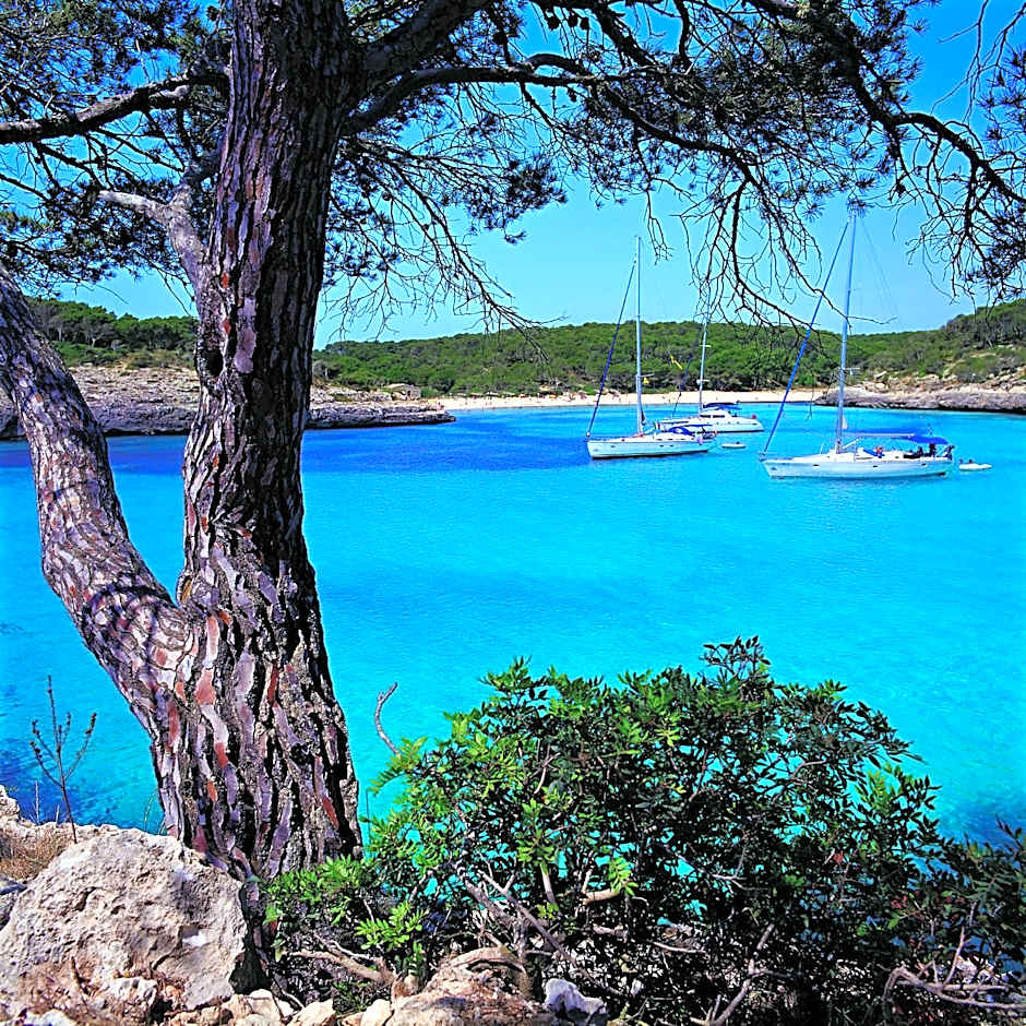 Apartamentos Cala d'Or Playa