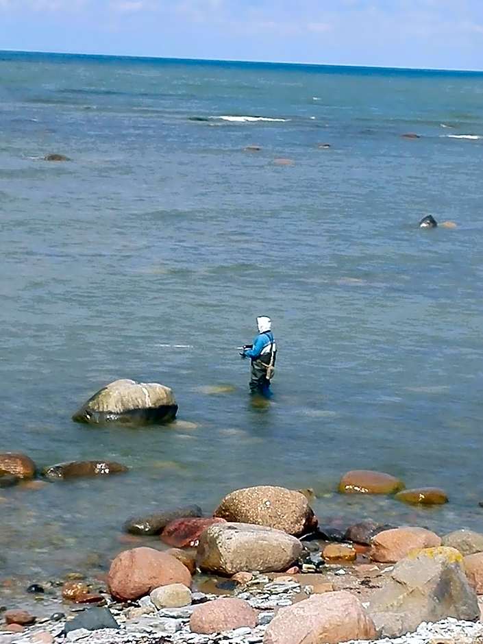 Ohessaare Windmill -Experience accommodation