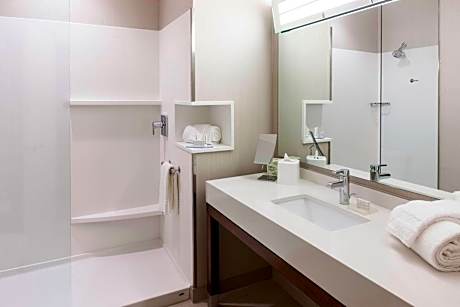 Room, 1 King Bed with Sofa bed (1 King Bed and 1 Double Sofa Bed)