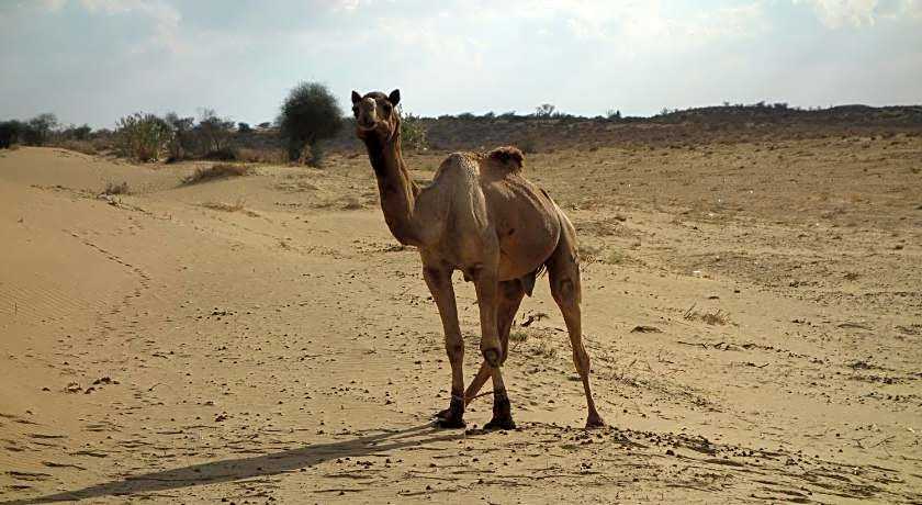 Gajanand Guest House