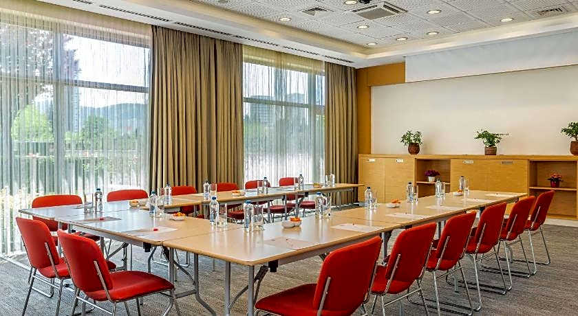 Ibis Bursa