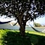 Coworksurf - Villa dos Irmãos
