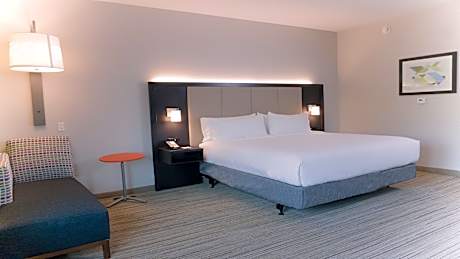 1 King Bed Suite Comm Access Tub