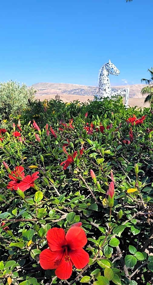 Quelque part au barrage