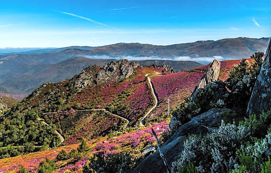 Hot Water Guest House