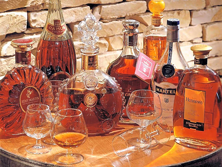 Ibis Styles Cognac