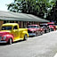 Jumping Frog Motel
