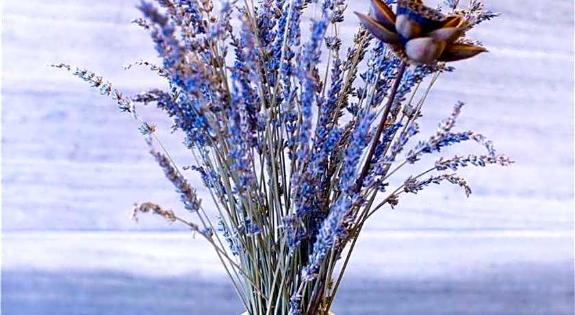 Lavande Hotel Rizhao Plaza Suning Plaza Wanda Studio