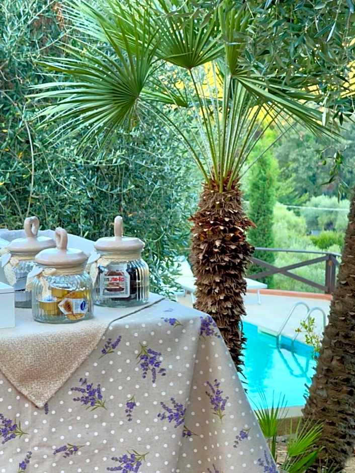 Madonna del Poggio B&B