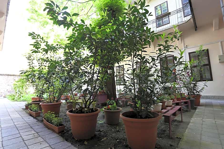 Amber Gardenview Studios Downtown