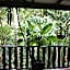 Oskar's Rain Forest Retreat