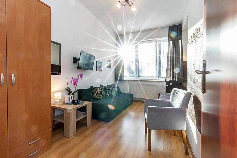 Brzoza w centrum Zakopanego