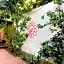 Los Nardos Hostel