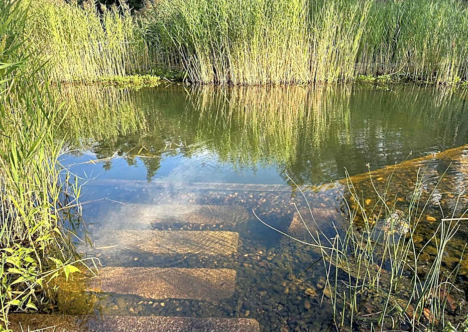 Du côté de chez Sam