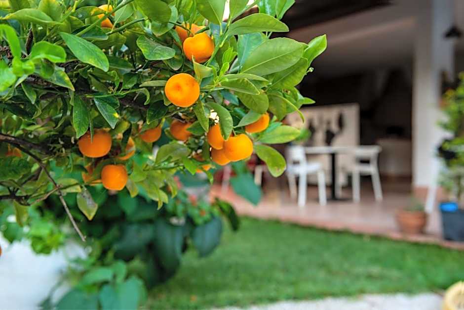 Villa Megna - Green Paradise B&B