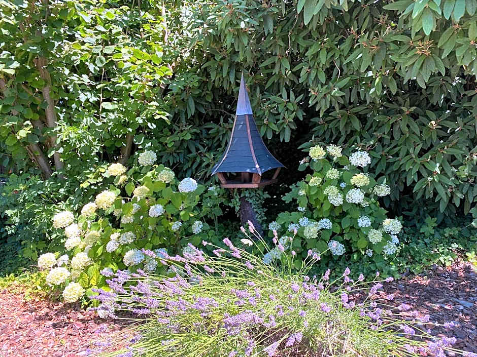 Les Rives des Habsbourg