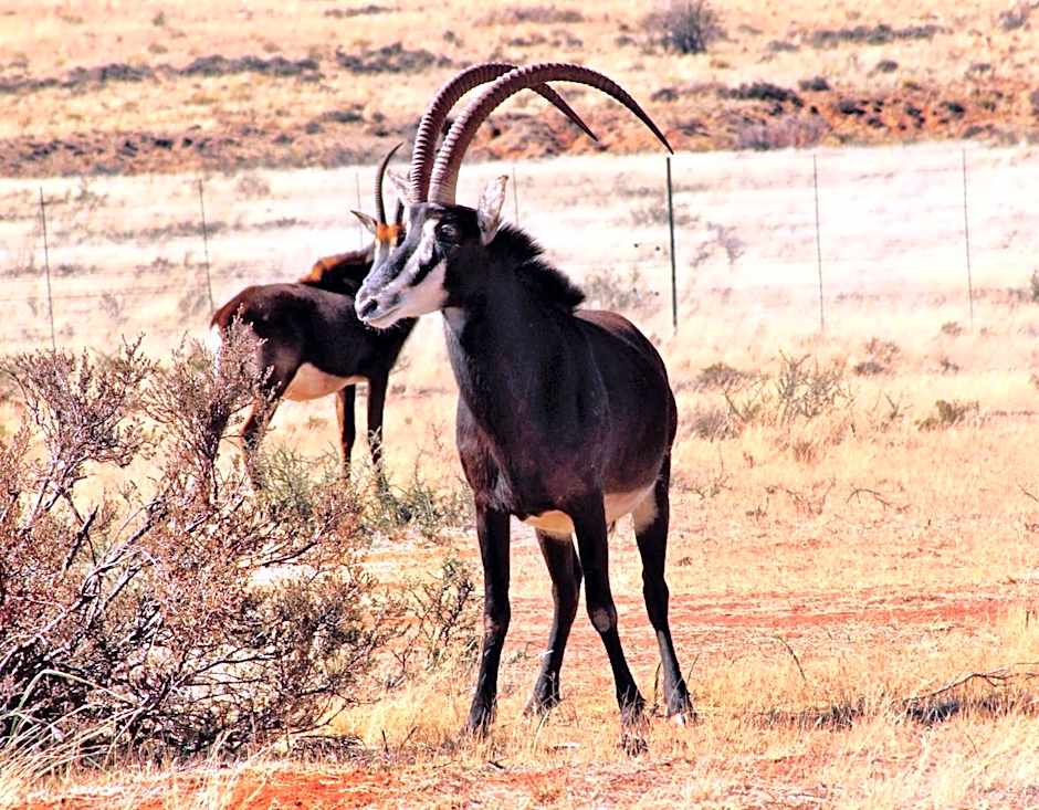 Otterskloof Game Reserve