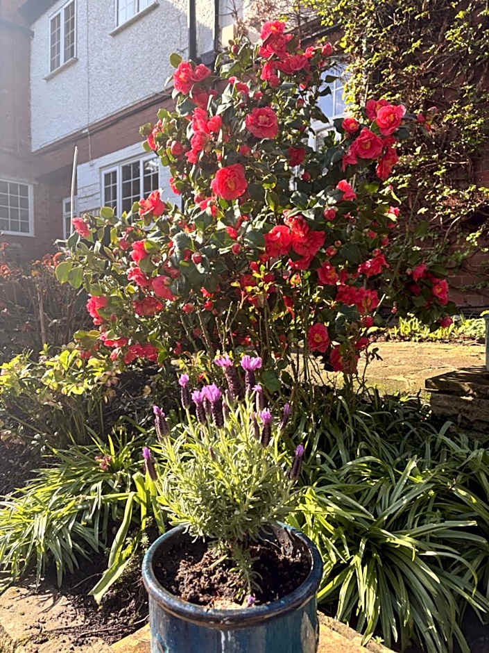 Westbourne Lodge Birmingham
