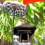 The Pavilion Hotel Kuta