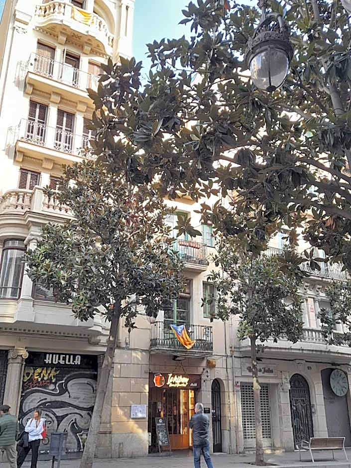 La Casa de Laura Nisia B&B