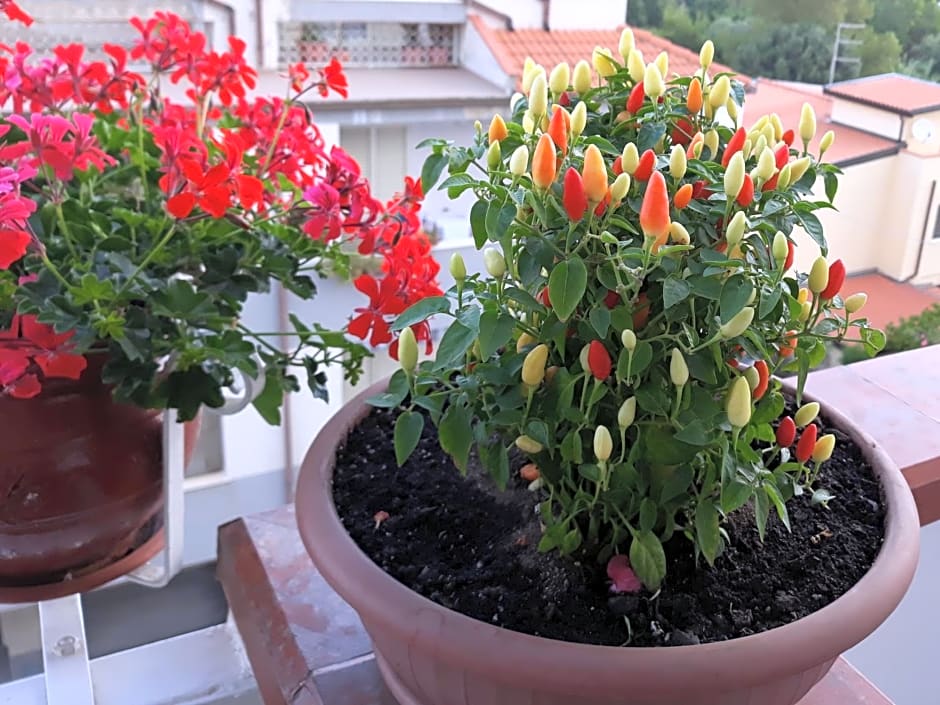 Bed & Breakfast Elisabeth