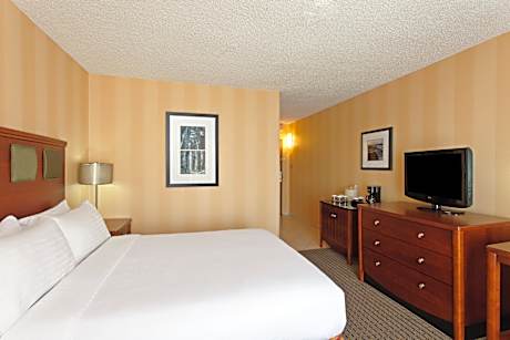 1 King Premium High Floor