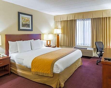 1 King Bed, Nonsmoking