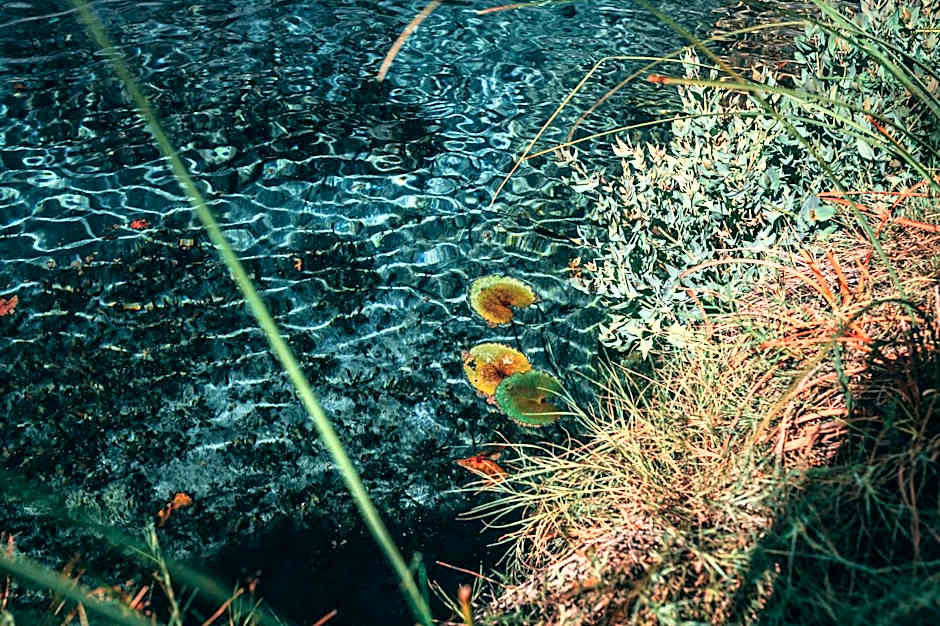 Hacienda Viga 2020 Hotel