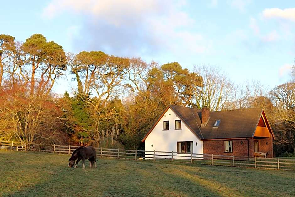 Plas Dolau Country Estate