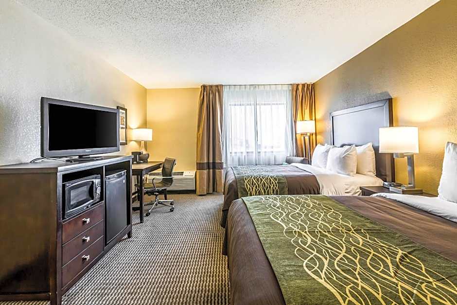 Comfort Inn Detroit Downtown
