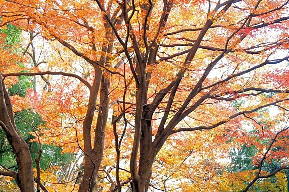 Shomarutoge Garden House