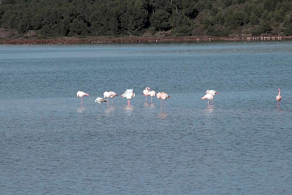 The Originals City, Hôtel Azur, Fos-sur-Mer
